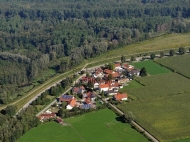 Rosenau